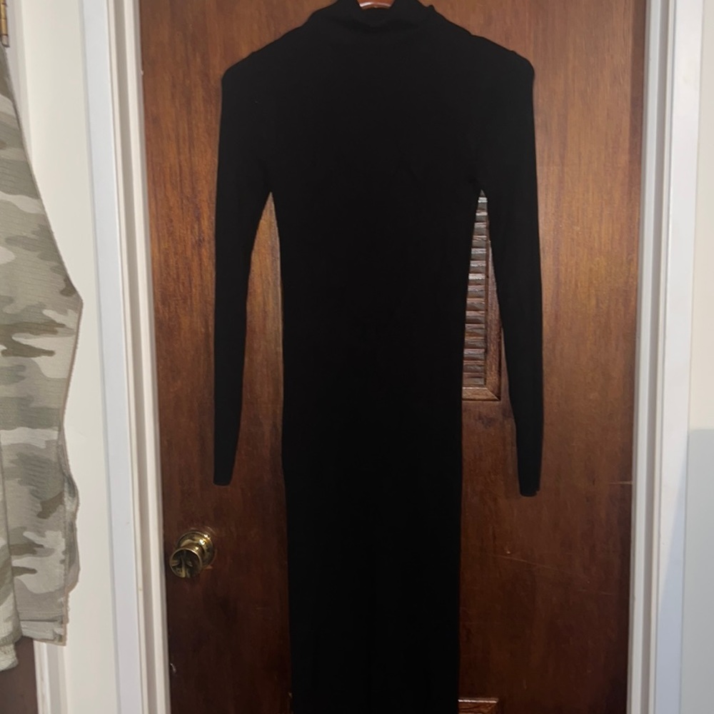 Express turtleneck dress